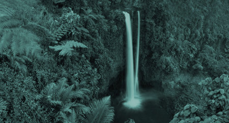 Waterfall Nature Scenics Waterfall Forest Concept