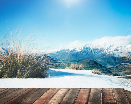 Nature Scenic View Mountain Snow Country Concept