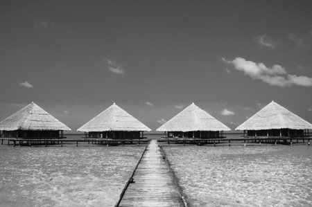Hut Island Beach Refreshing Relax Ocean Holiday Concept