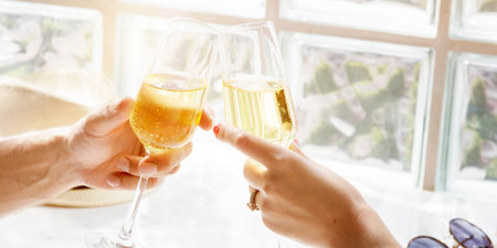 Couple Sparkling Wine Cheers Celebration Concept
