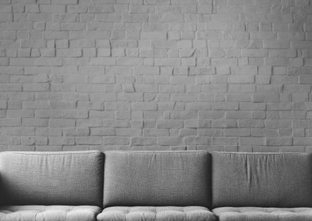Sofa Furniture Modern Interior Living Room Concept