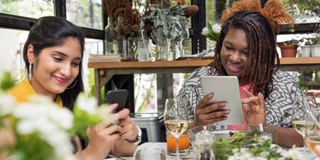 Women Browsing Devices Connection Concept