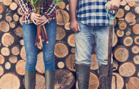 Firewood Fuelwood Lumber Timber Lumber Log Concept