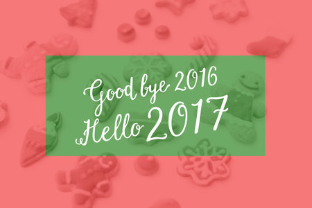 Good bye 2016 Hello 2017 New Year