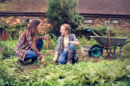 Cultivate Garden Nature Seasonal Growth Concept