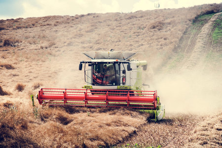 Harvest Agricultural Crop Field Machinery Season Concept