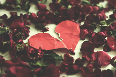 Broken Heart Sadness Frustration Flower Leafs