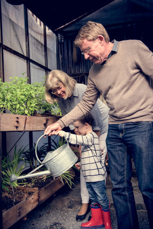 Watering Plant Growing Pastime Environment
