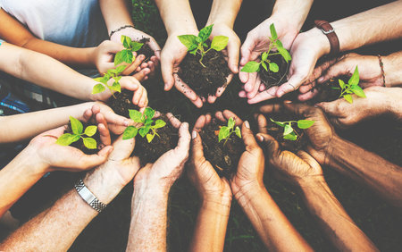 Group of environmental conservation people hands planting in aerial view