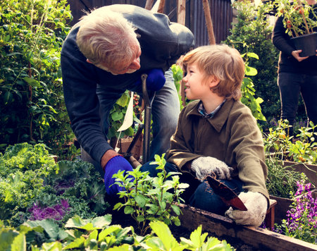 Dad and son gardening tranplanting outdoors together