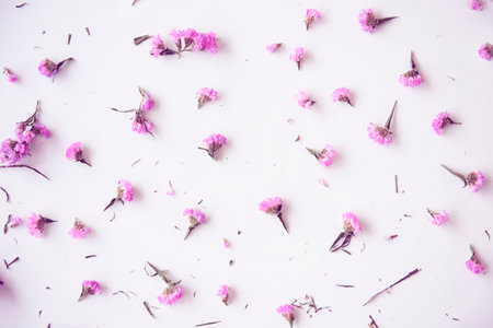 Flower Floral Petal Design Spread
