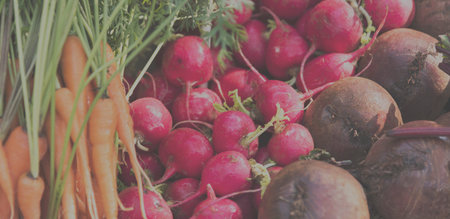 Fresh Local Organic Vegetable at Farmers Market