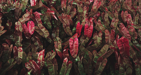 Leaf Greenery Foliage Nature Freshness