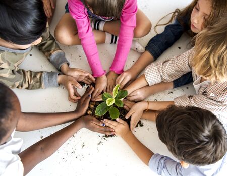 Enviromental conservation children planting for nature