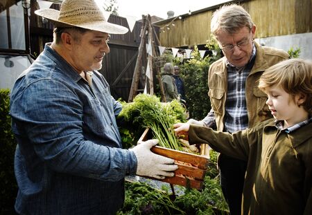 Farmer with organic nature product vegetables gardening