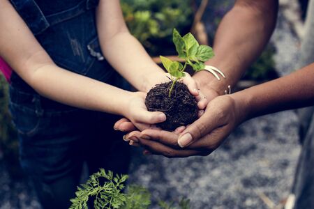 Child is going to plant a tree