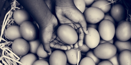 Egg Food Protein Nutritious Oval Meal