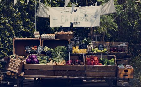 Fresh Local Organic Vegetable at Farmers Market
