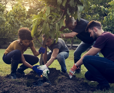Group of Diverse People Planting Tree Together