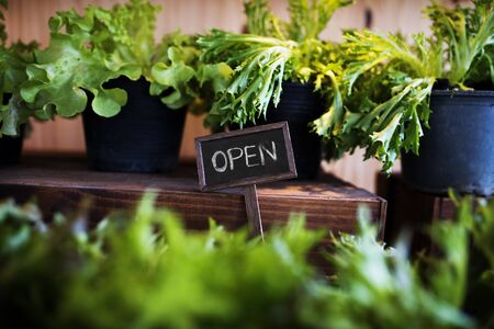 Garden greenhouse sale retail open