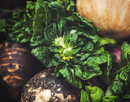 Natural organic variety fresh vegetable