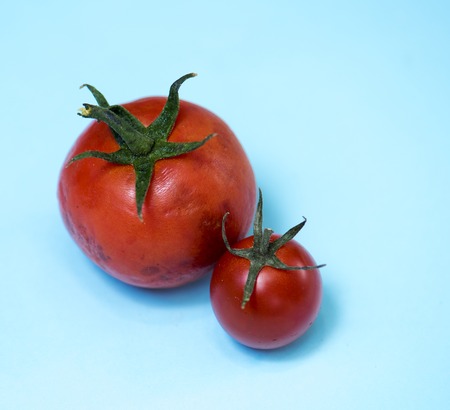 Two organic red tomatos on the background