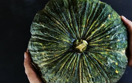 Woman holding pumpkin on her hands