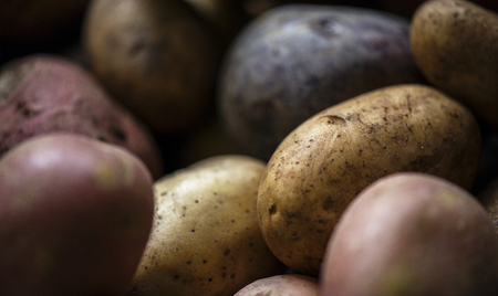 Fresh potatoes root vegetable