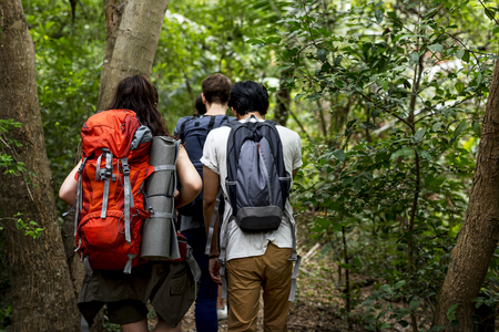 Young people hiking in a forest