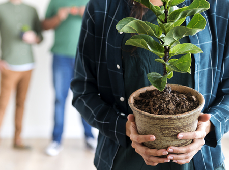 Woman holding plant pot with men in background blur