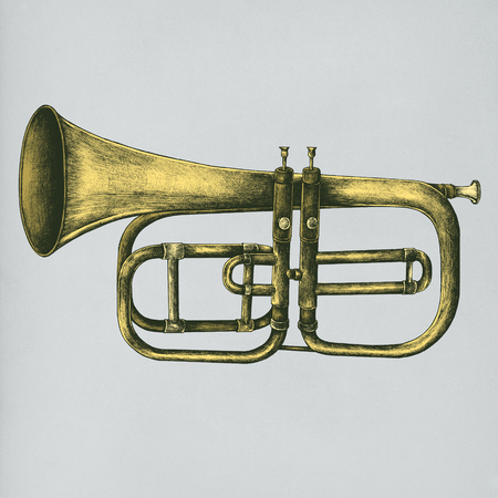 Hand drawn trumpet isolated on background
