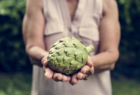 Fresh organic artichoke