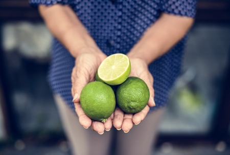 Hands holding lime organic produce from farm