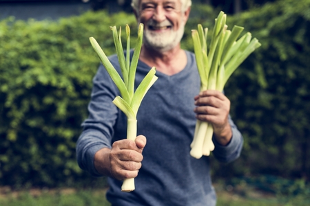 Elderly man  holding fresh leek