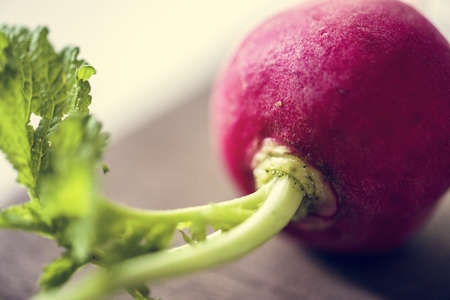 Fresh red radish vegetable