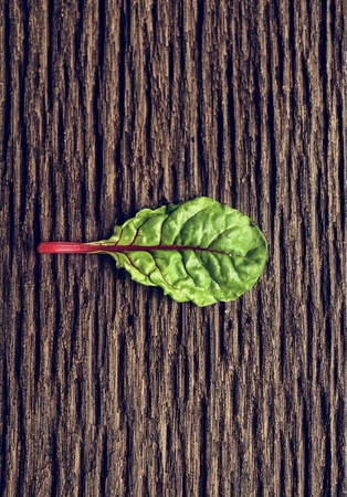Natural organic fresh green leaf on a wood