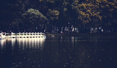 Swan paddle boats in Lumphini Park, Bangkok