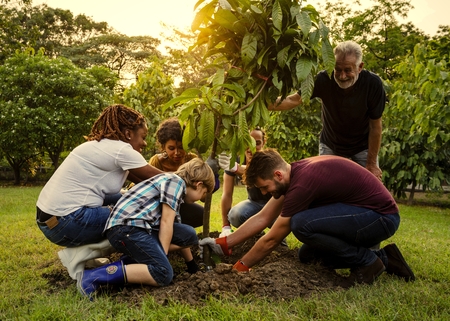 Group of people planting a new tree