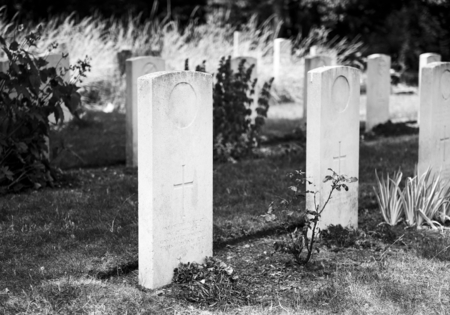 Lined up white gravestones at a cemetery