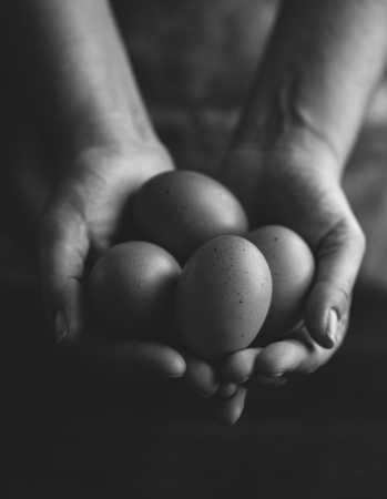 Brown organic free range eggs