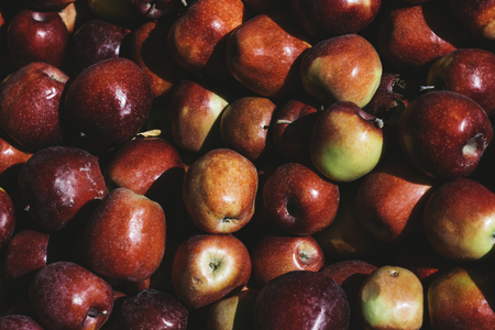 Harvest of fresh red apples