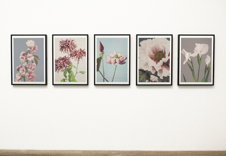 Collection of floral art pieces on a wall