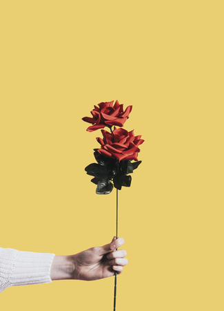 Beautiful red rose for valentines day