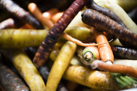 Fresh organic vegetables food photography