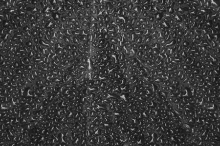 Black water droplets textured background