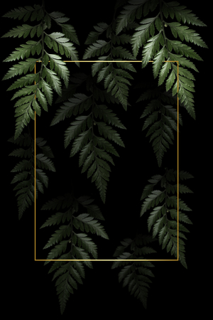 Rectangle golden frame on a tropical background