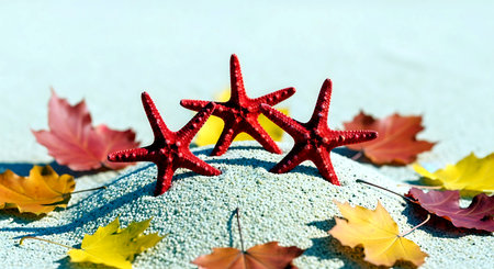 Red starfish on the background of autumn leaves. Selective focus.の素材