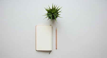Notebook with pencil and plant on the white wall, stock photoの素材