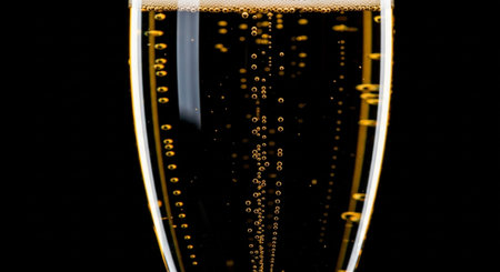 Champagne in a glass with bubbles on a black background close upの素材