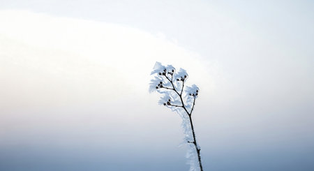 Laptop and cup of coffee on the table near the window in the winterの素材